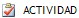 Actividad