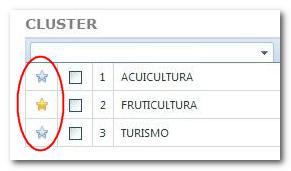 principal